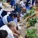 ประเพณีบายศรีสู่ขวัญข้าว ต.เขาพระ อ.เมือง นครนายก