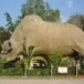 กูปรี (วัวป่า)