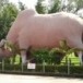 กูปรี (วัวป่า)