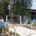 ศูนย์พัฒนาเด็กเล็กโรงเรียนวัดบางนางเล็ก