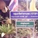ภูมิบ้านภูมิเมืองตำบลบางนางร้า