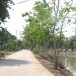 ภูมิบ้านภูมิเมืองตำบลบางนางร้า