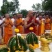 ประเพณี “สวดคาถาปลาช่อน”  นาตะกรุด  ศรีเทพ