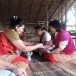 พิธีผูกข้อมือเพื่อเรียกขวัญ “ไค่จูลาเขาะ”
