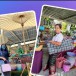 ผลิตภัณฑ์จากเส้นพลาสติก