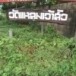 วัดแหลมเจ้าสัว