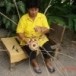 ตะกร้อหวาย