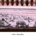 ภาพปริศนาธรรม  ภาพที่ ๑ “เชื้อชาติช้าง”