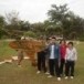 การเล่นว่าว  โรงเรียนร่องคำ อำเภอร่องคำ จังหวัดกาฬสินธุ์