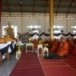 หลวงปู่จรัญ สุเขสิโน  พระครูพิมลศิลากร