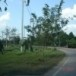 บ้านวังสระทอง