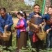 ประเพณีบุญเบิกฟ้า