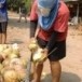 หอกปอกมะพร้าว