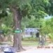 โรงเรียนกำเนิดวิทยา