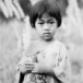 มลาบรี หรือตองเหลือง