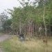 วัดโพธิ์ทองพัฒนาราม
