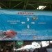 ตลาดทุ่งนาทอง