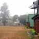 สวนป่าแม่ละเมา
