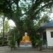 วัดวังหินเพลิง