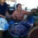 นางจันทร์เป็ง  มูลเมือง (ภูมิปัญญาชาวบ้าน)