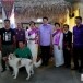 งานไหว้หลวงพ่ออินทร์  กินปลา  ชมหมาบางแก้ว      