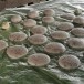 ข้าวเกรียบว่าว