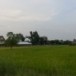 บ้านป่าน จังหาร