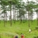 อุทยานแห่งชาติภูสอยดาว 