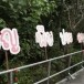 ผลิตภัณฑ์วัฒนธรรมไทย CPOT ธัญพืชประคบพลูสุข วิสาหกิจชุมชนหัตถศาสตร์เพื่อสุขภาพ