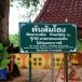 ต้นส้มโฮง : รุกข มรดกของแผ่นดิน ใต้ร่มพระบารมี