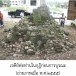 โบราณสถาน วัดราชบุรณะ (วัดเขาห่อ)