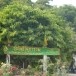 วัดโพธิโสภาราม