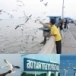 สถานตากอากาศบางปู