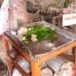 หม่ำ