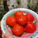 อังกู๊ – ขนมเต่า