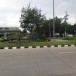 ต้นยางพาราต้นแรกของประเทศไทย