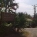 บิวตี้บีช รีสอร์ท