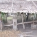 ครกตำข้าว_ครกมอง_นายเป็ง กาวิน