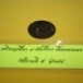 เหรียญเสี้ยว ๔ อันเฟื้อง
