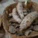 กลุ่มหัตถกรรมพื้นบ้านคีรีวง