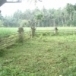 สุสานเจ้าหมื่น เจ้าเภา