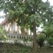 วัดหนองปรึก 