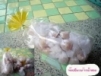 มะพร้าวเสวย