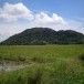 เขาสรรพยา