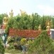 วัดโมคคัลลาน
