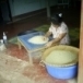 ข้าวฮางงอก