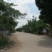 ประวัติบ้านลาน