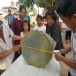 กลองมโหระทึก และแหล่งโบราณคดีที่เกี่ยวข้องในจังหวัดมุกดาหาร