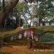 หลุมฝังศพต้นตระกูลสุนทรเวช