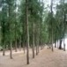 อุทยานแห่งชาติหาดวนกร
